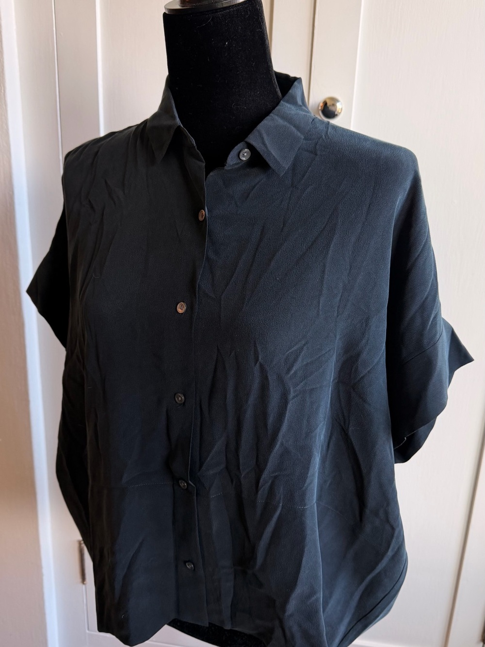 Womenโs 100% silk shirt, Everlane